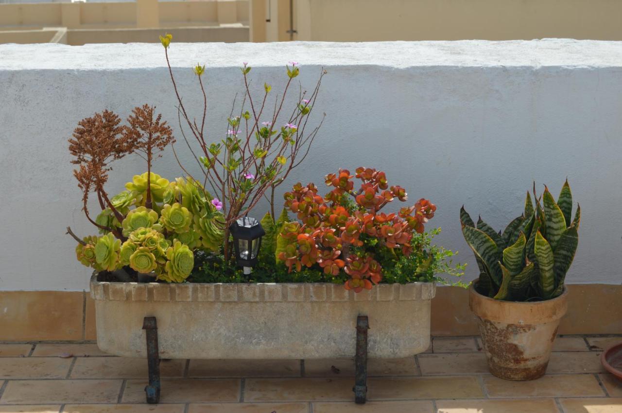 Apartamento El Mirador De Cádiz Exterior photo